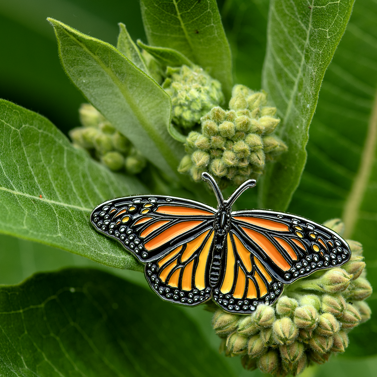 Monarch Butterfly Enamel Pin by The Roving House