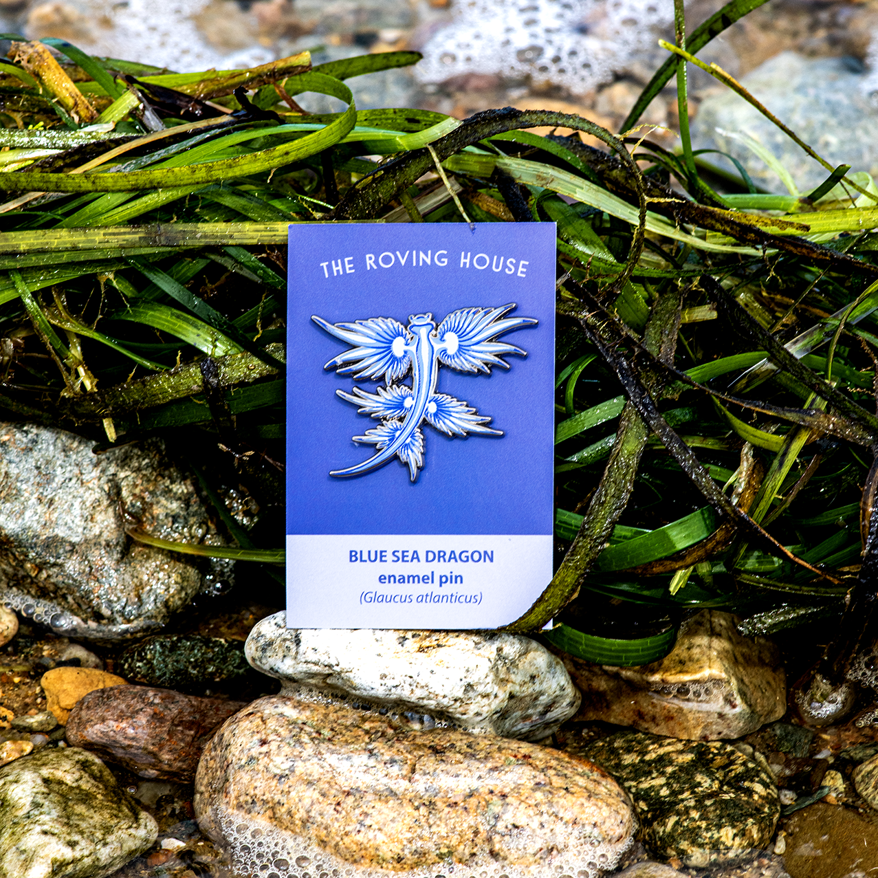 Blue Dragon Nudibranch Enamel Pin