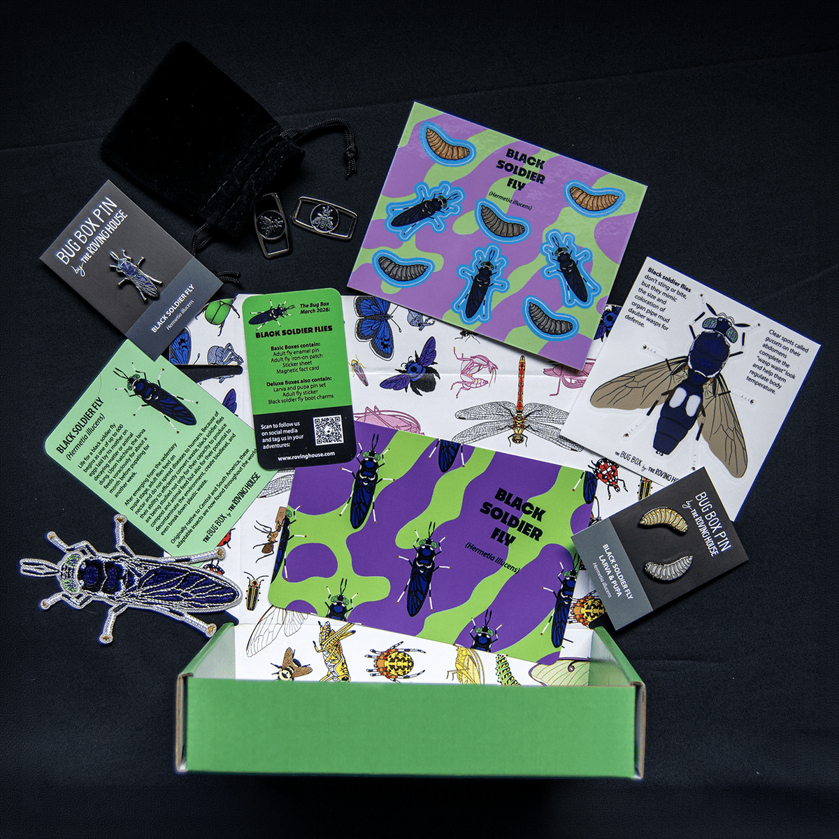 The Bug Box