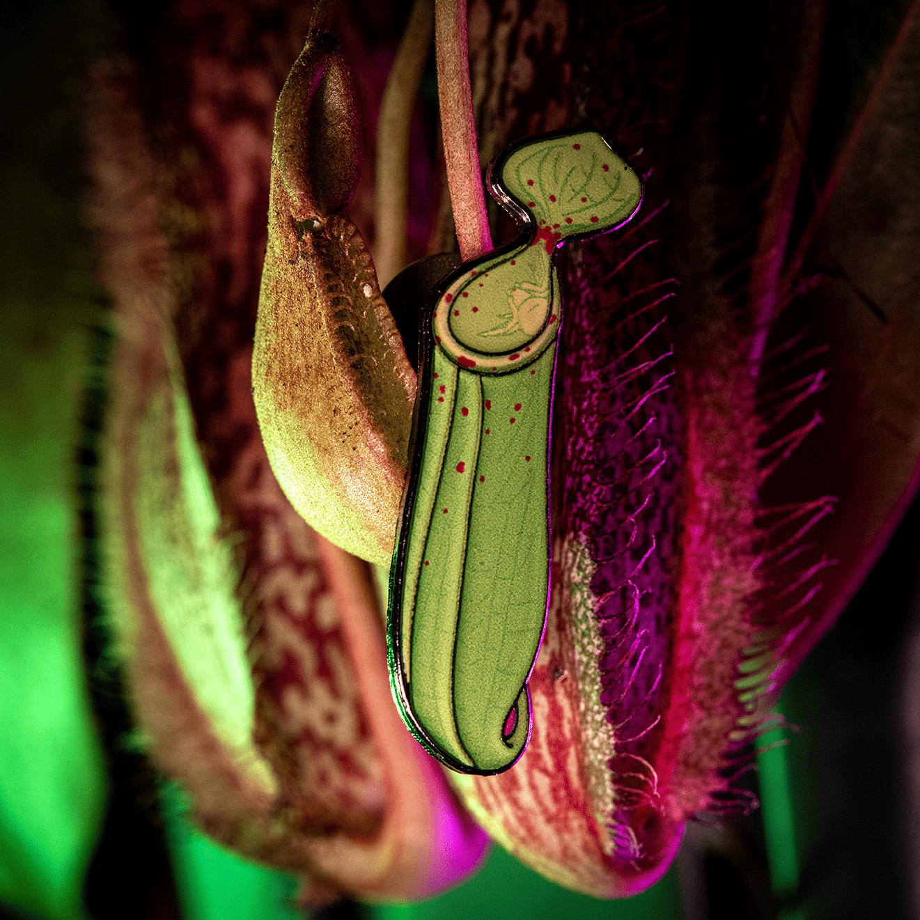 Pitcher-loving Crab Spider Enamel Pin