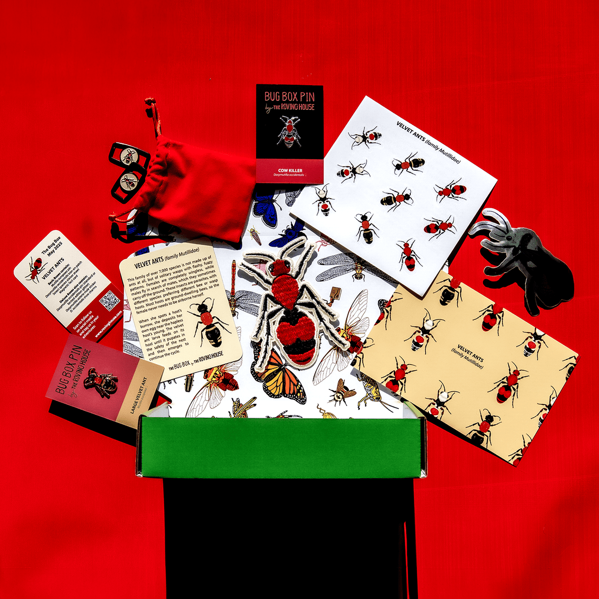 Club Box Bug Velvet Ant Bug Box