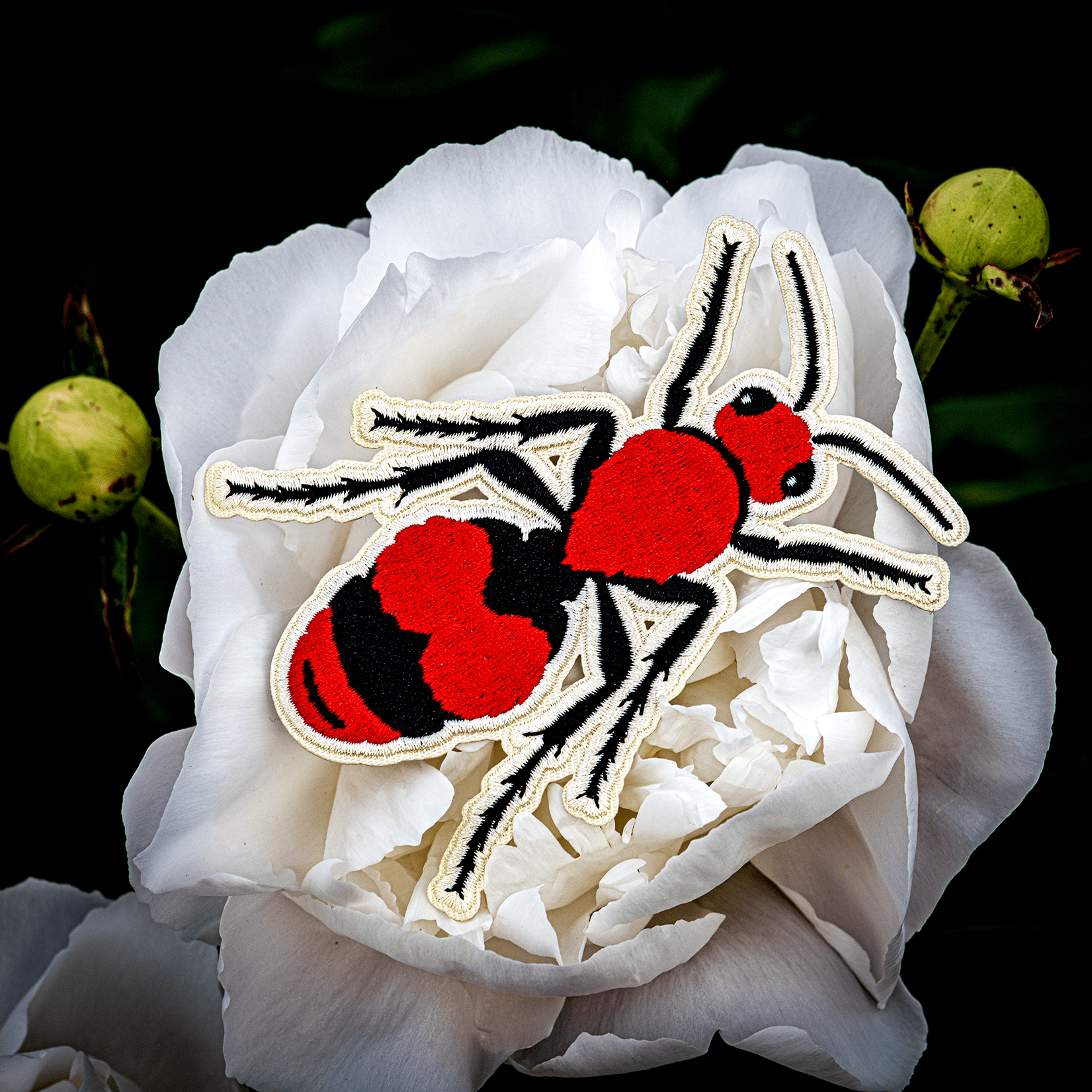 Cow Killer Velvet Ant Iron - on Patch by The Roving House