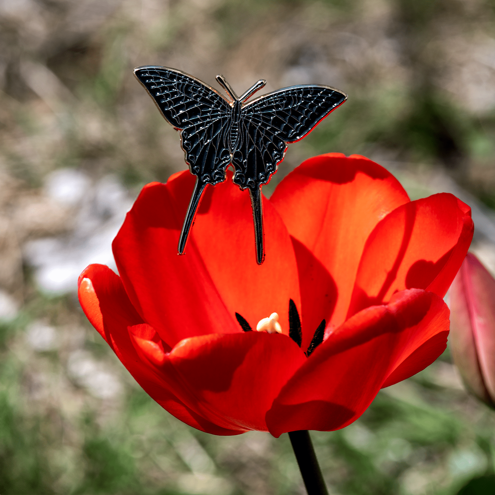 Zebra Swallowtail Enamel Pin | Blackout by The Roving House