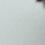 A closeup video of a man stamping on white paper, leaving the impression of line art of an anatomical human heart.