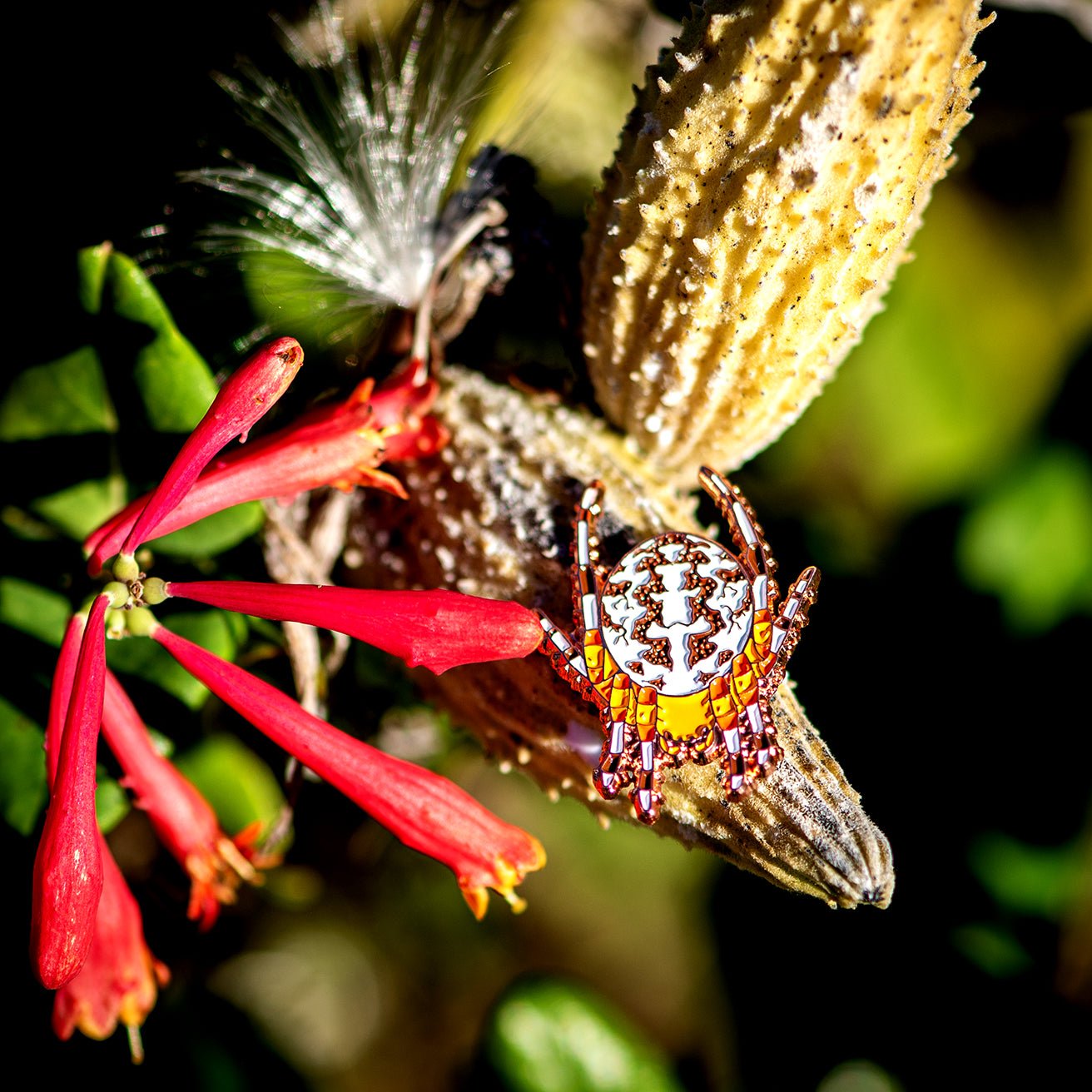 Marbled Orbweaver Female Pin by The Roving House