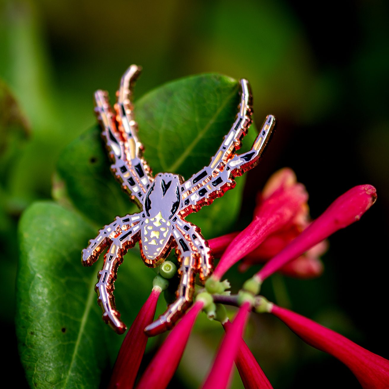 Marbled Orbweaver Male Pin by The Roving House