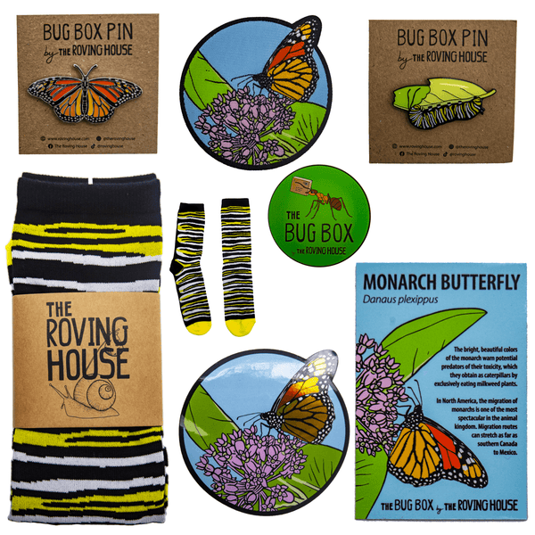 April 2021 Bug Box (Monarch Butterfly)