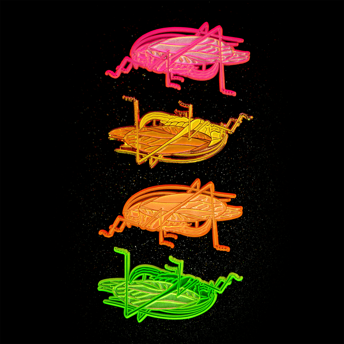 August 2023 Bug Box (Oblong-winged Katydid)