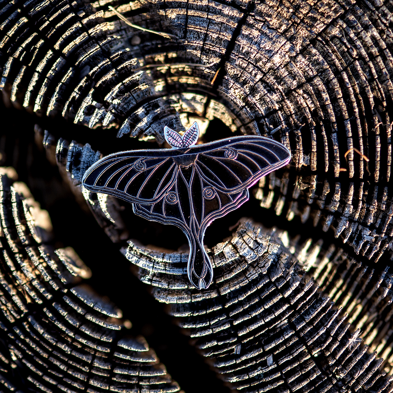 Luna Moth Enamel Pin | Black & Silver by The Roving House