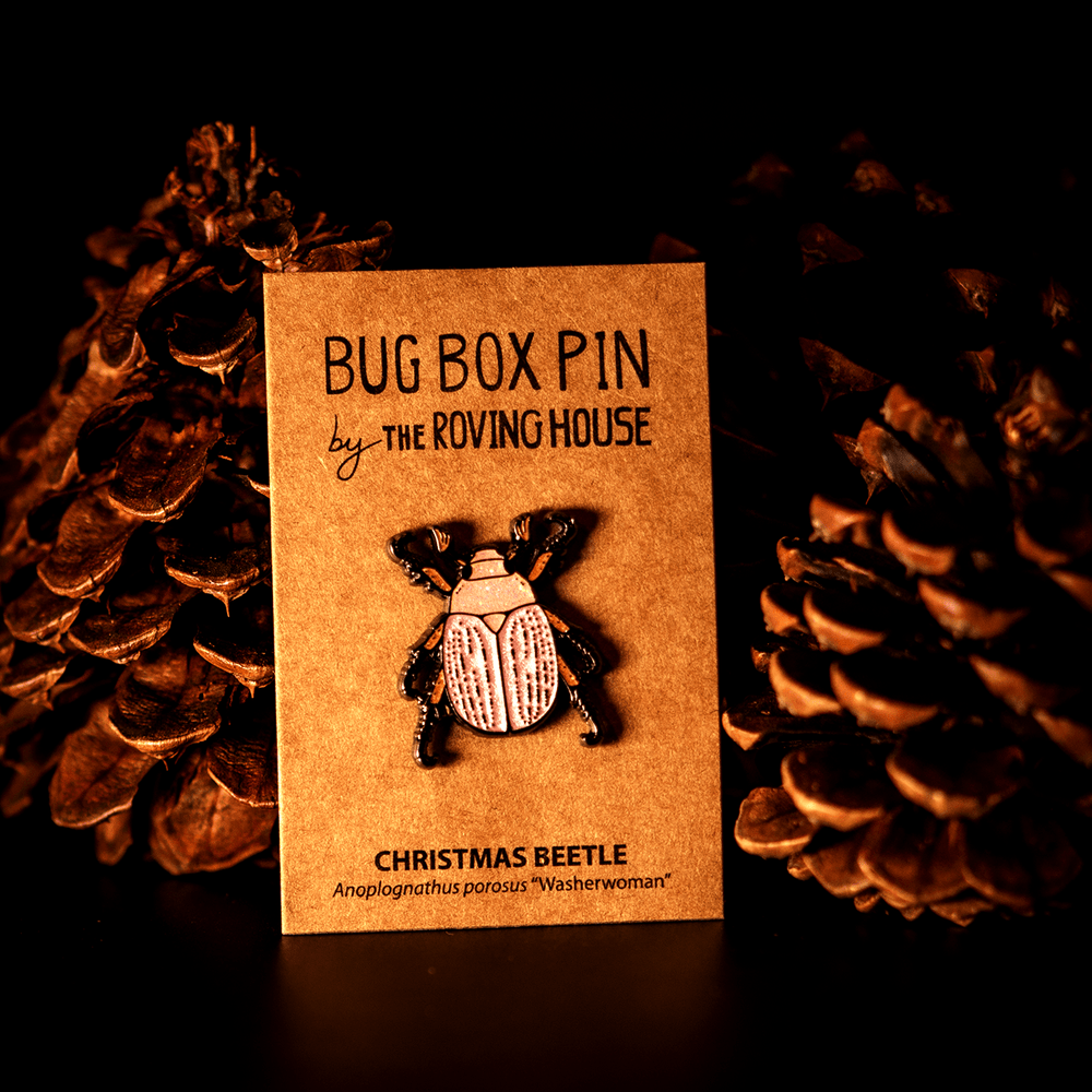 The Bug Box