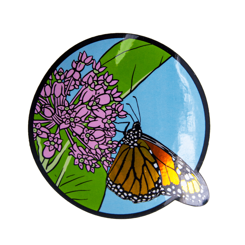 A vinyl sticker of a slightly holographic, orange, black, and white monarch butterfly feeding from pink blossoms of common milkweed, with green milkweed leaves and a light blue sky background.