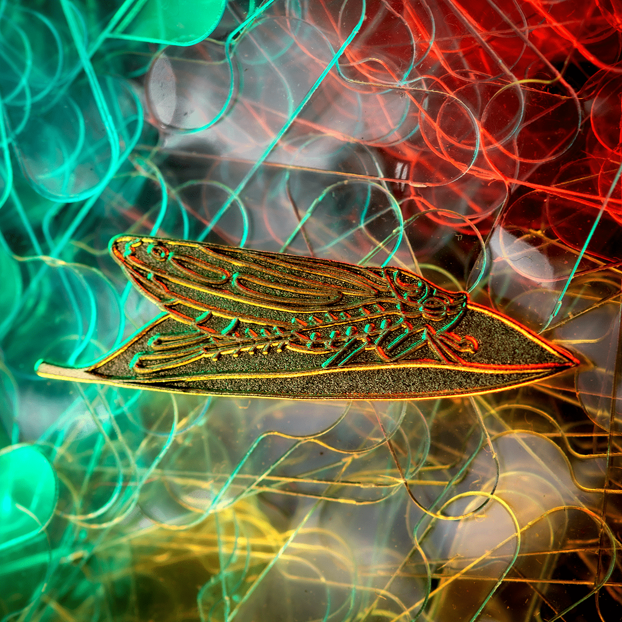Candy-striped Leafhopper Pin | Raw for Modding by The Roving House