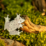 Spring Peeper Frog Pin - Limited Edition by The Roving House
