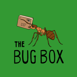 An illustration of an ant carrying a parcel, with "THE BUG BOX" written below.