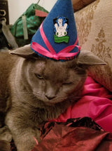 Gus, the large grey cat, wears a pointy hat adorned with the GMY$ Blue pin.