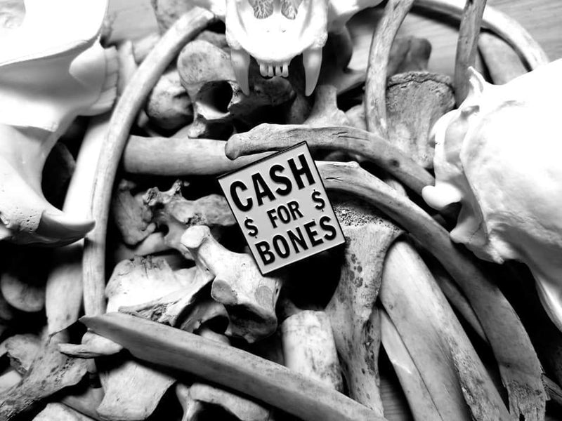 "Cash for Bones" pin atop a pile of cleaned bones. Photo by Sarah Livet.