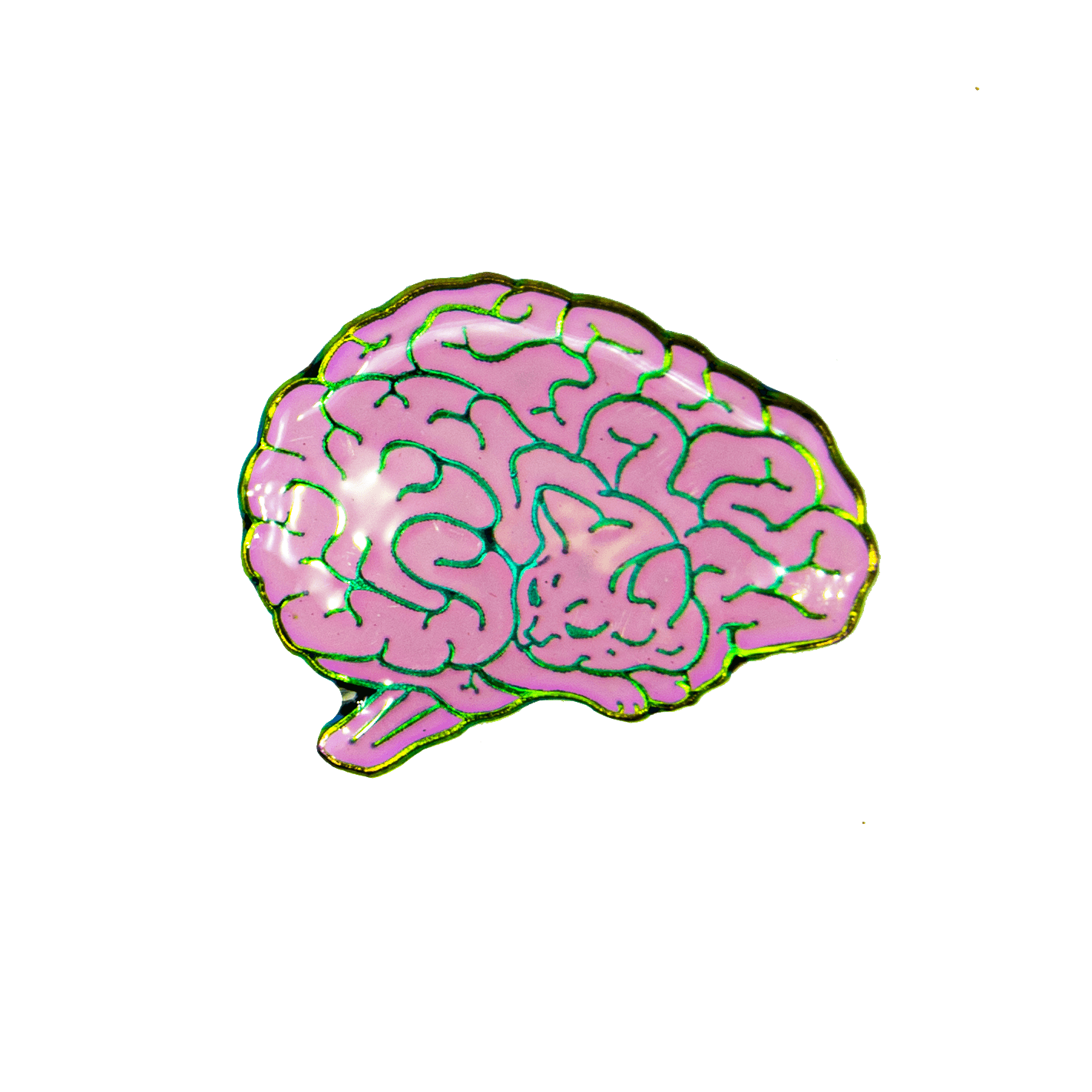 A rainbow metal and epoxy pin in the shape of a human brain. Upon closer inspection, the lines of the brain resemble a sleeping cat.