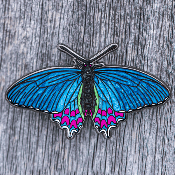 Pink-spotted Cattleheart Butterfly Enamel Pin (Dorsal) - Extra Blue Morph by The Roving House