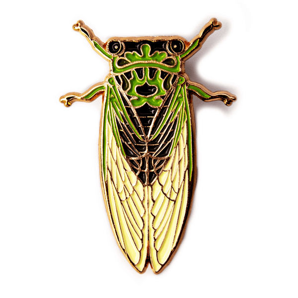 An enamel pin of a green, black, and copper colored annual dog day cicada.