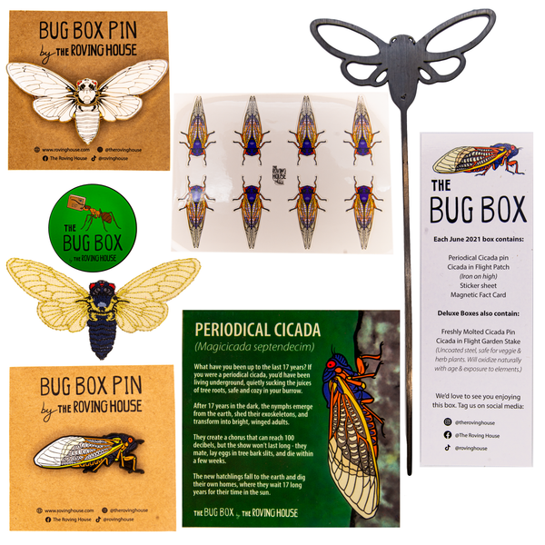 Club Box Bug The Bug Box – The Roving House