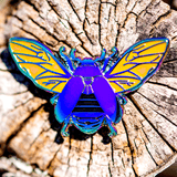 Rainbow Jewel Scarab Beetle in Flight Pin by The Roving House