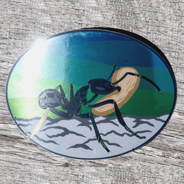 Fijian Farmer Ant and Seed Sticker by The Roving House