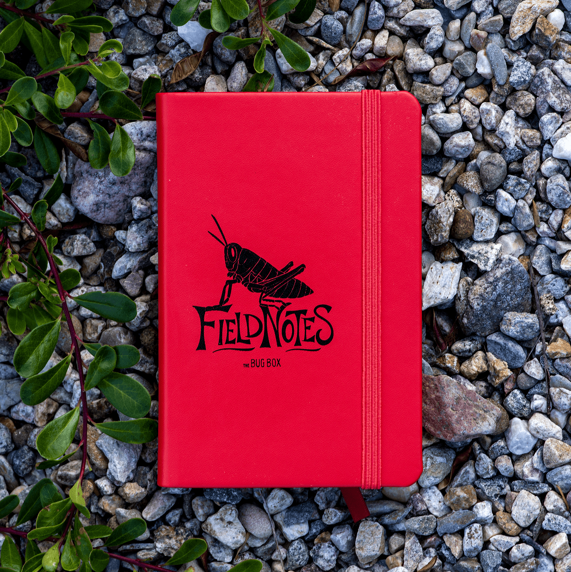 Eastern Lubber Field Notebook by The Roving House