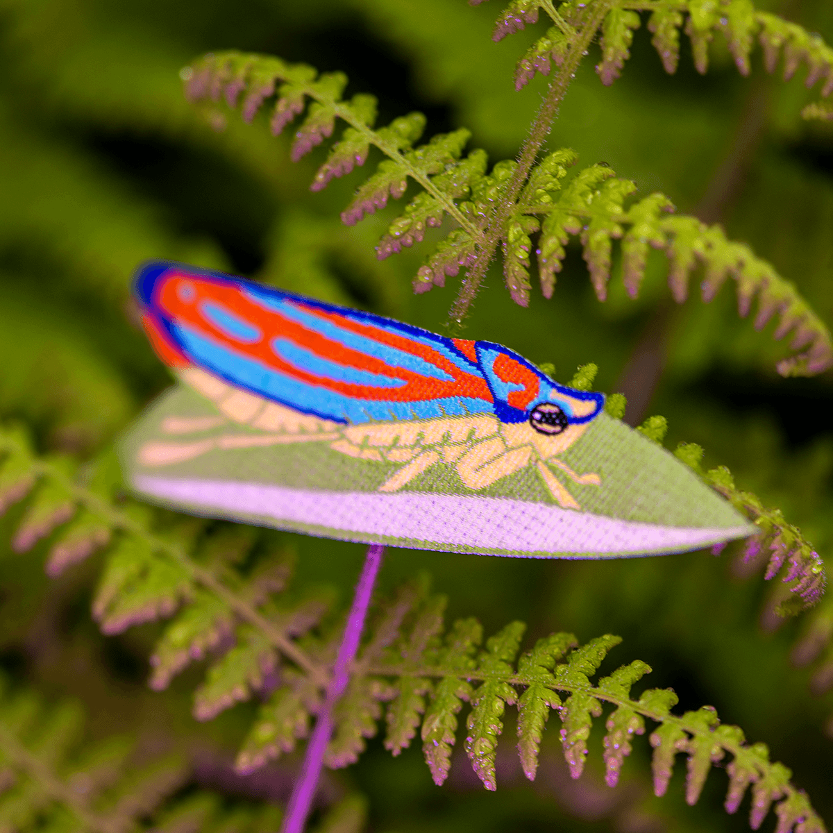 Candy Striped Leafhopper Patch by The Roving House