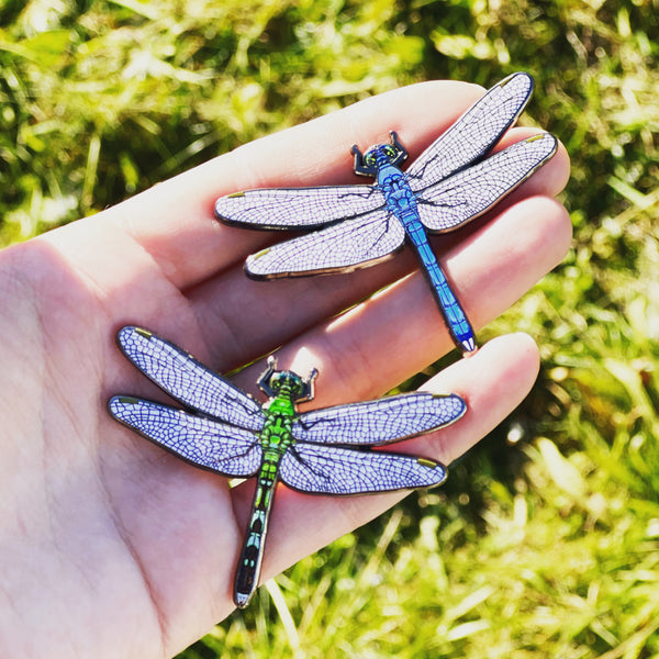 Eastern Pondhawk Dragonfly Pin
