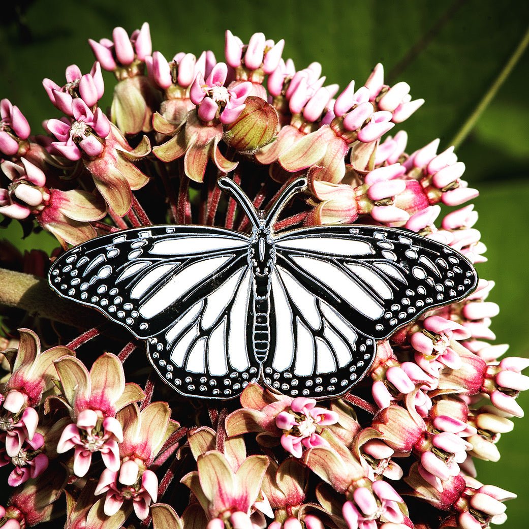 White Nivosus Monarch Butterfly Pin by The Roving House