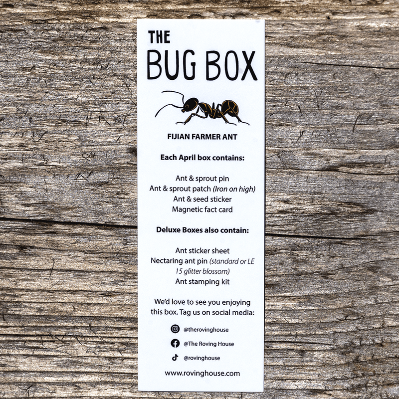 April 2022 Bug Box (Fijian Farmer Ant) by The Roving House