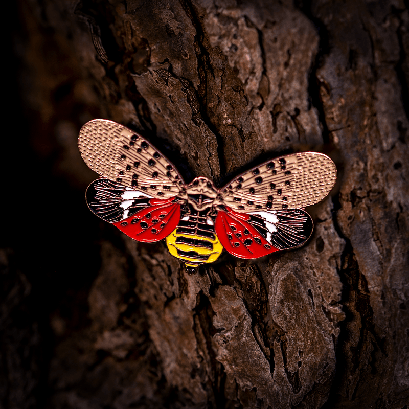 February 2023 Bug Box (Spotted Lanternfly) by The Roving House