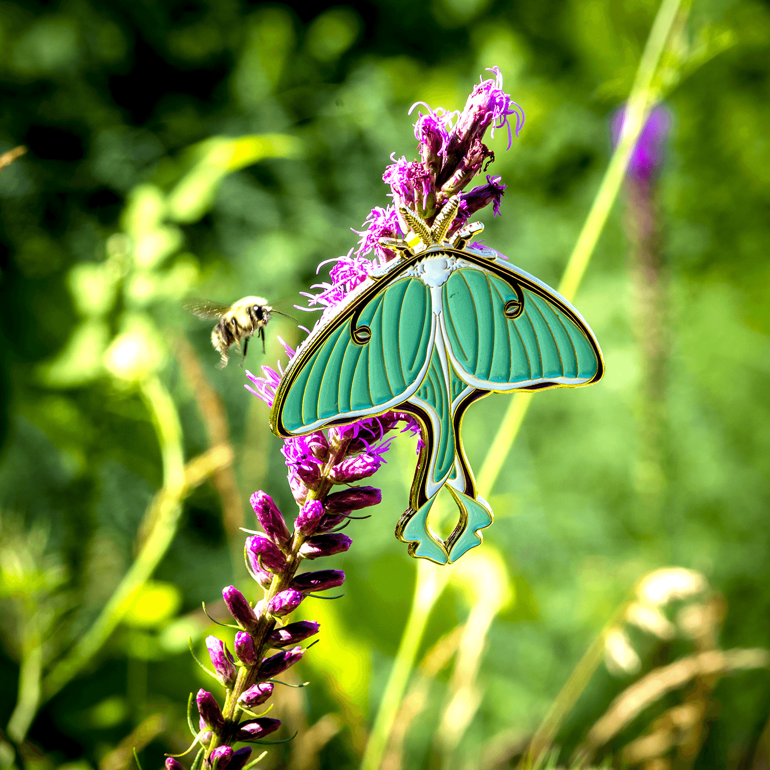 July 2022 Bug Box (The Luna Moth) by The Roving House