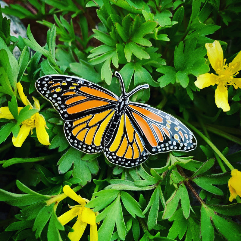 The Bug Box Monarch Butterfly Pin