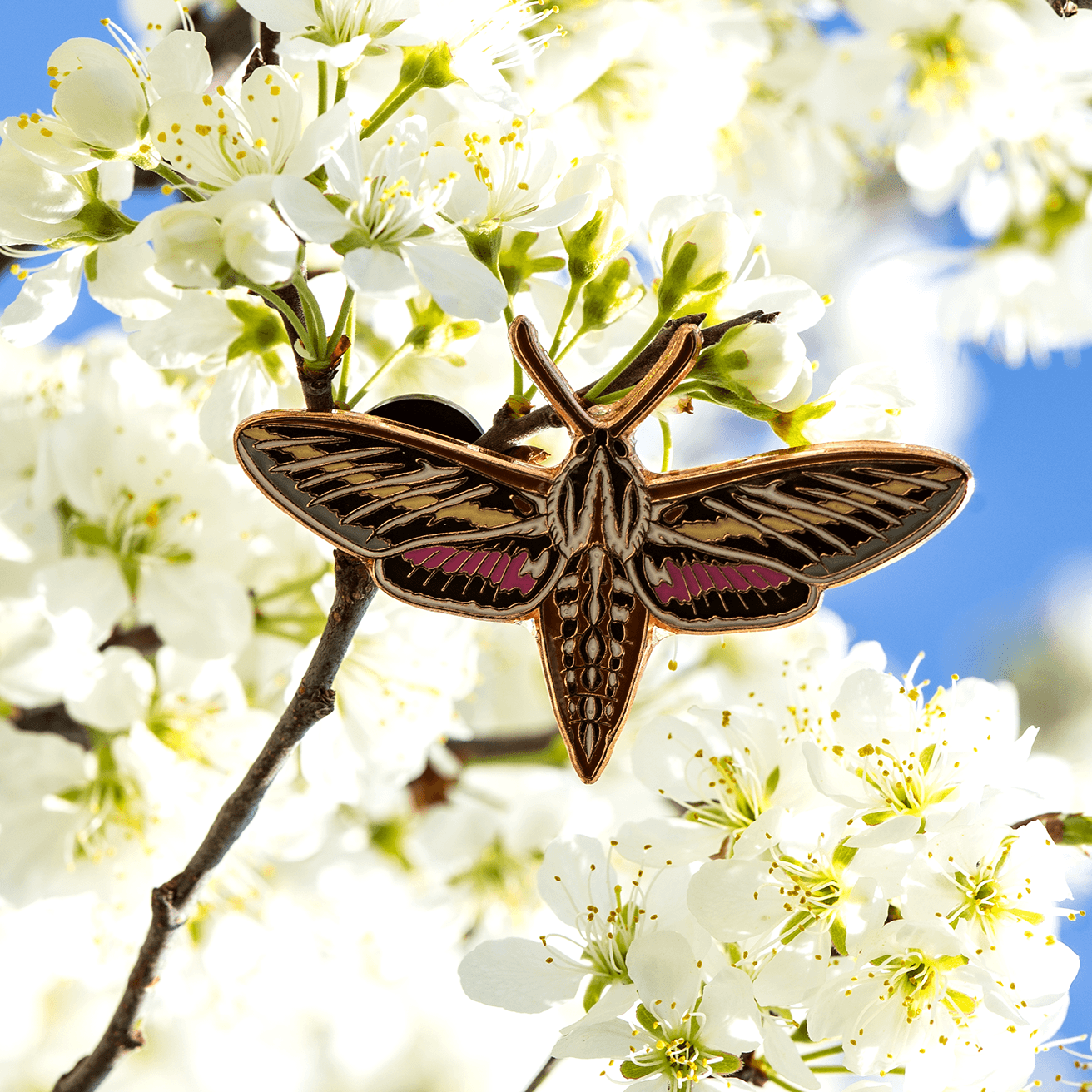 White-lined Sphinx Moth Pin by The Roving House