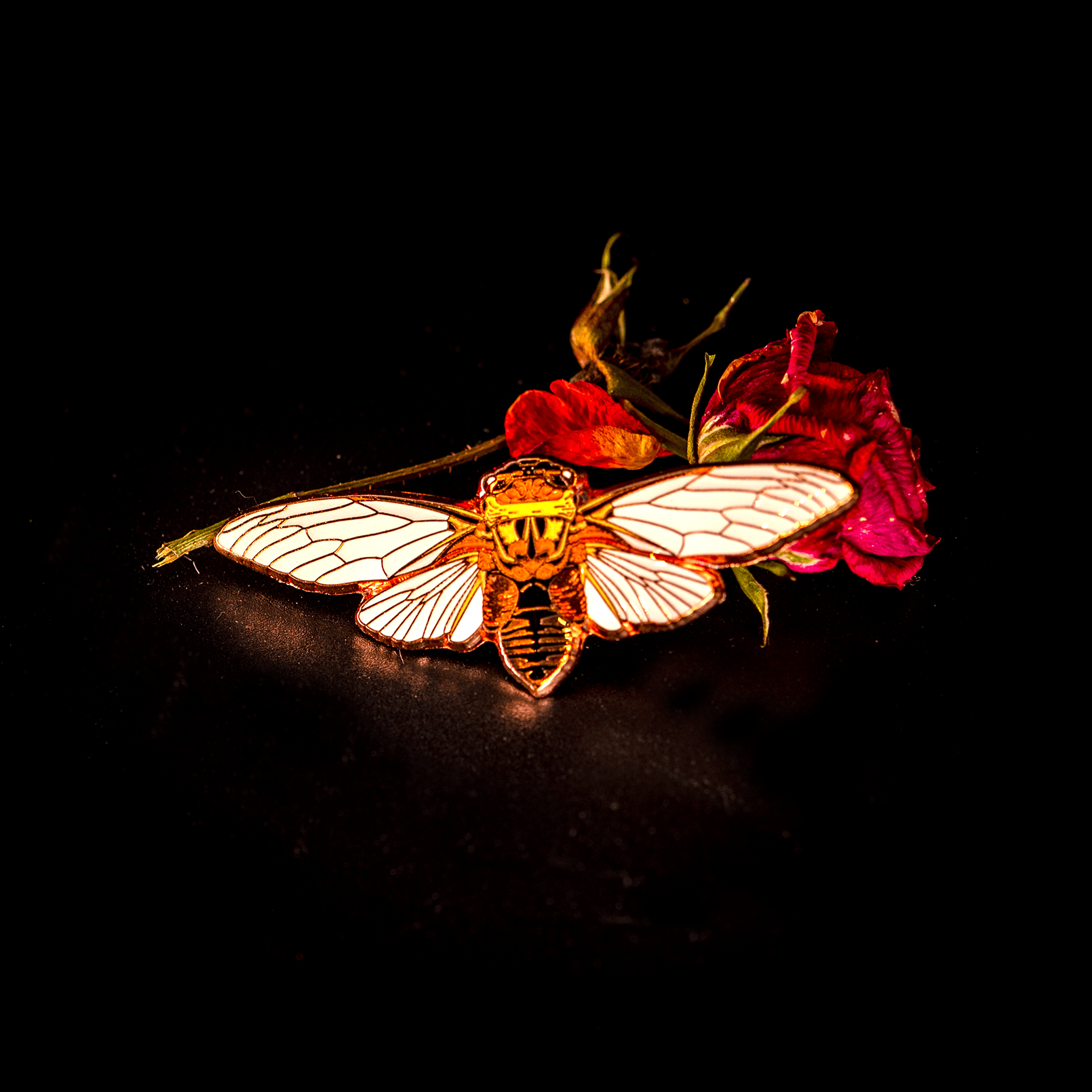 Australian Double Drummer Cicada Enamel Pin by The Roving House