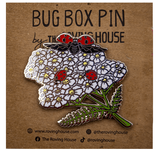 August 2021 Bug Box (Nine-spotted Ladybug)