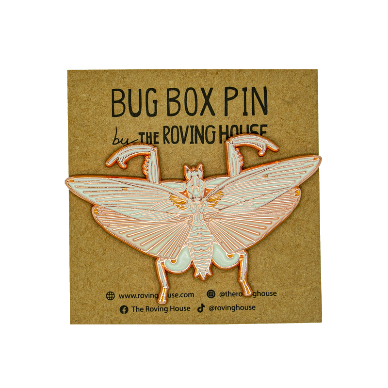 September 2021 Bug Box (Orchid Mantis)