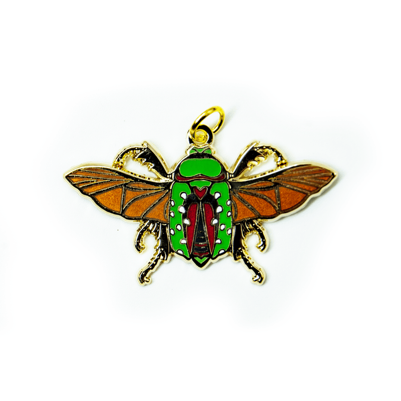 December 2021 Bug Box (Mistletoe Beetle) by The Roving House