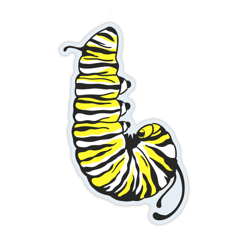 A clear vinyl sticker of a black, white, and yellow monarch caterpillar (Danaus plexippus) hanging upside down in the J shape.