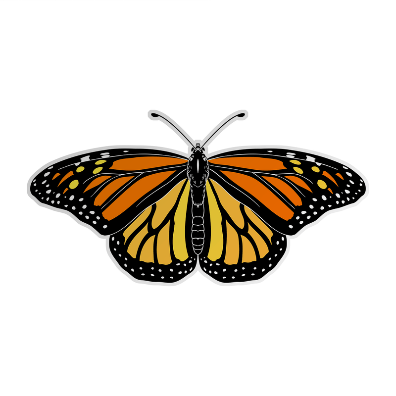 Monarch Butterfly Sticker – The Roving House