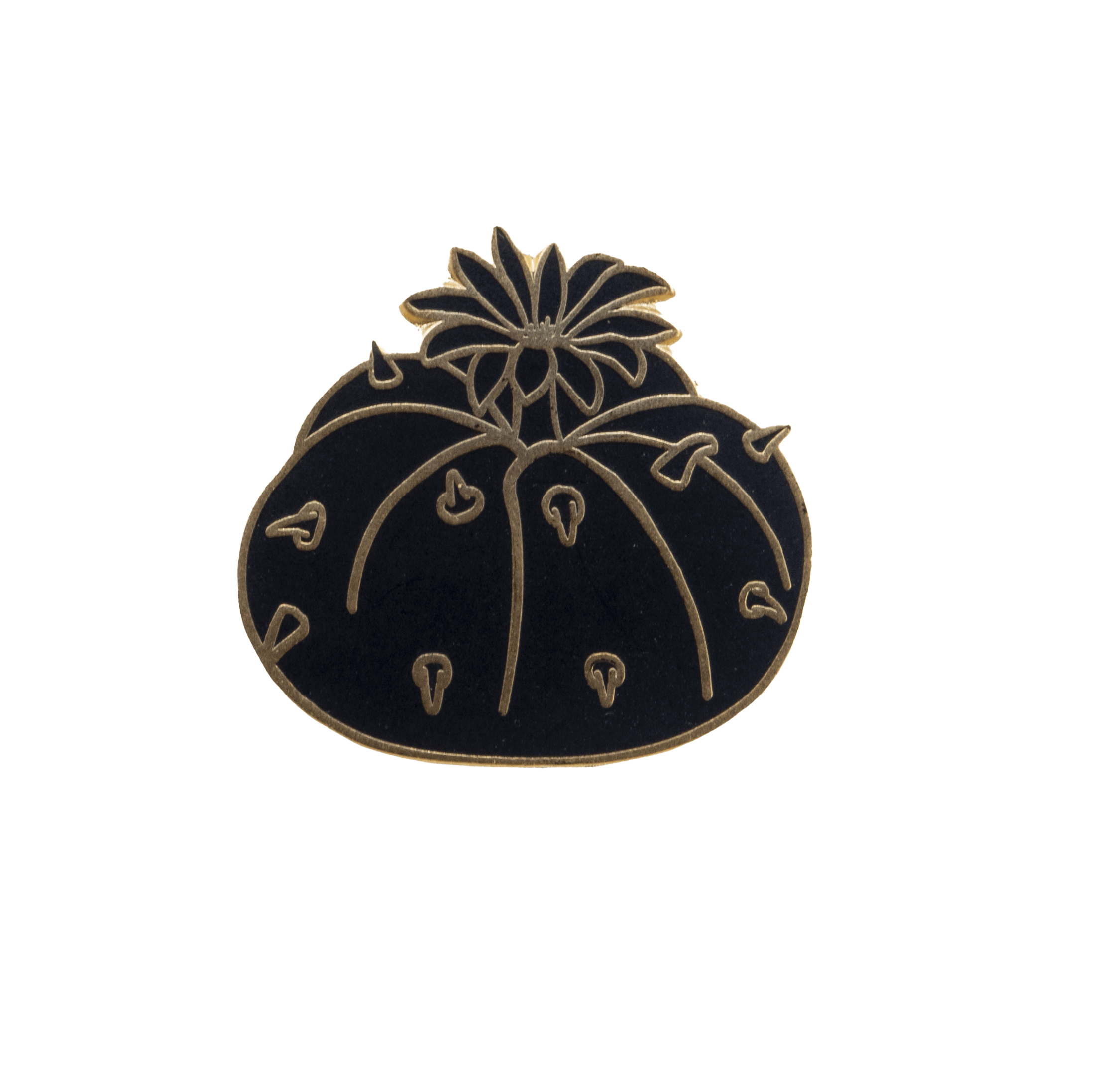 Blackout Button Cactus | Gold Club Pin