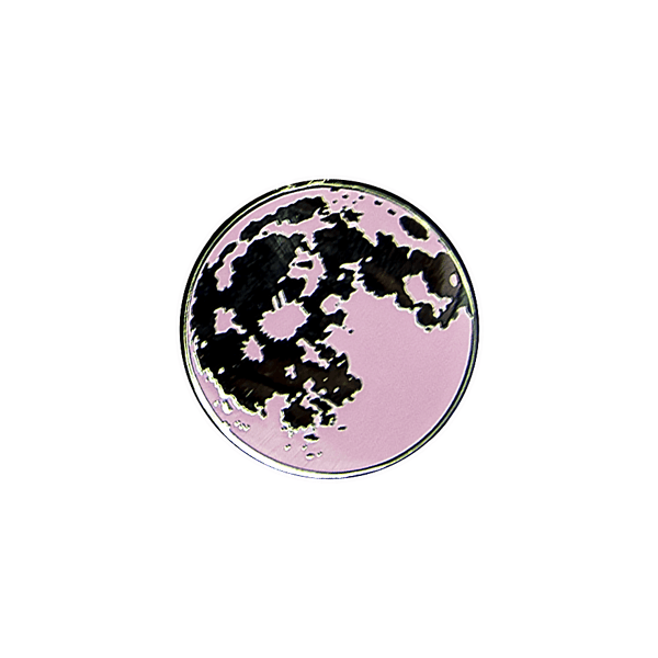 Strawberry Moon Enamel Pin