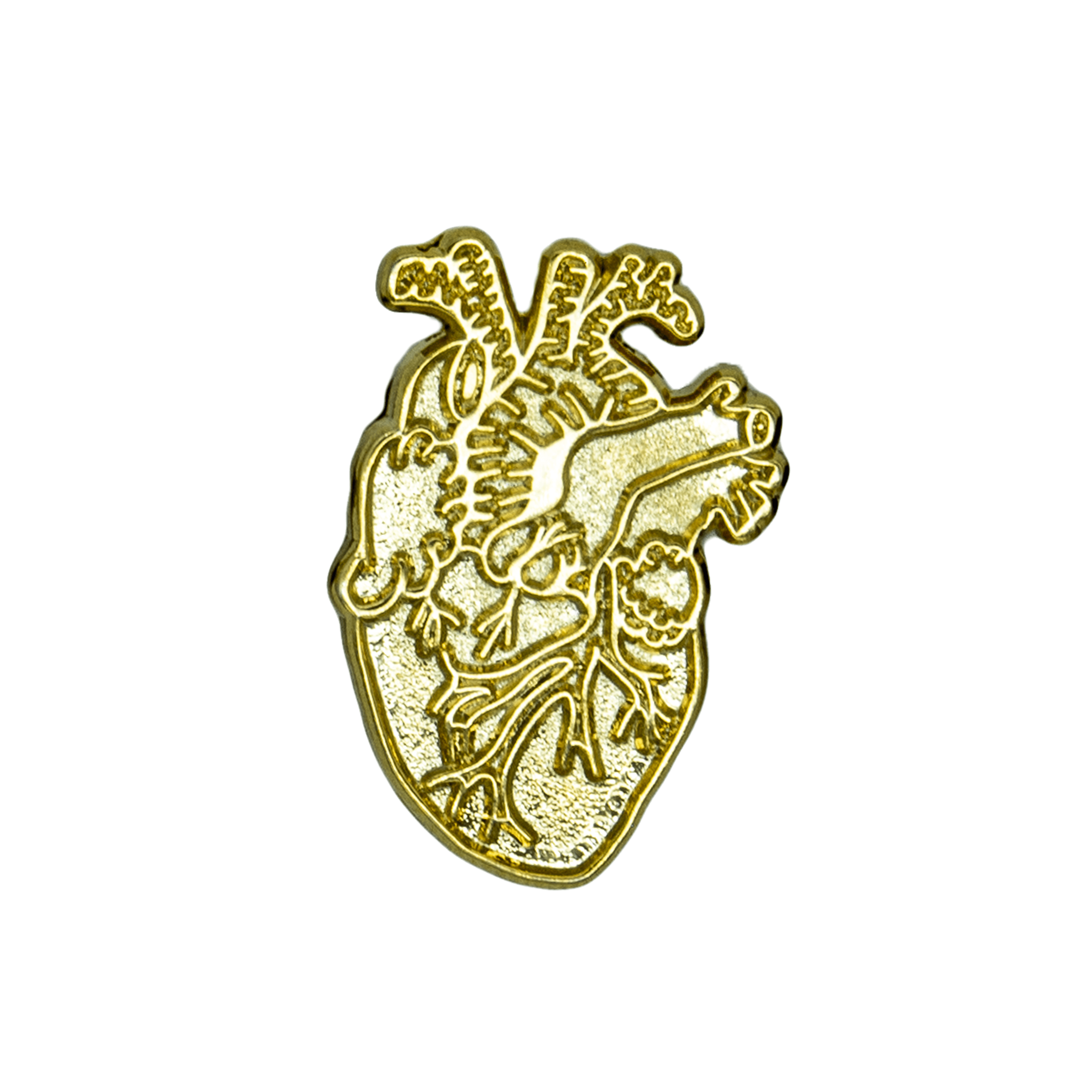 Anatomical Heart Pin | Raw for Modding