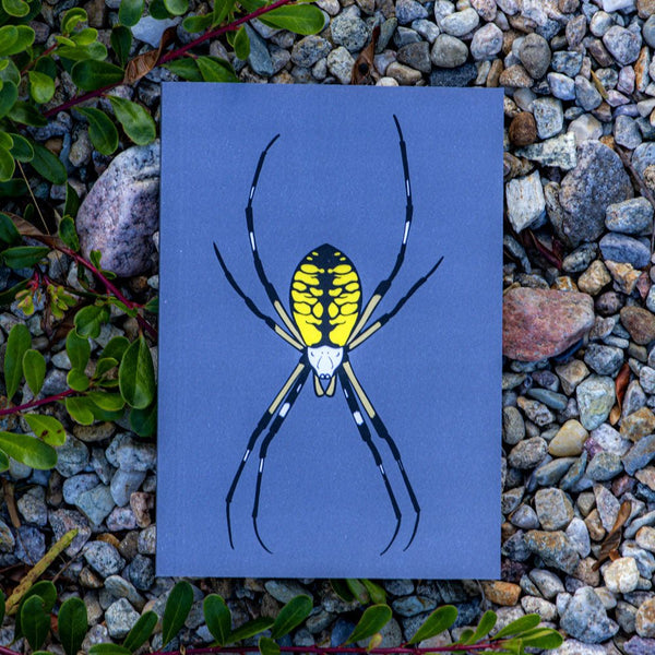 Argiope Writing Spider Journal by The Roving House