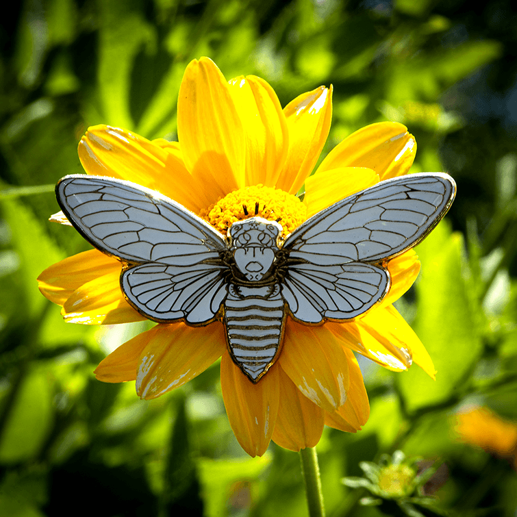 Cicada Enamel Pin - Whiteout by The Roving House
